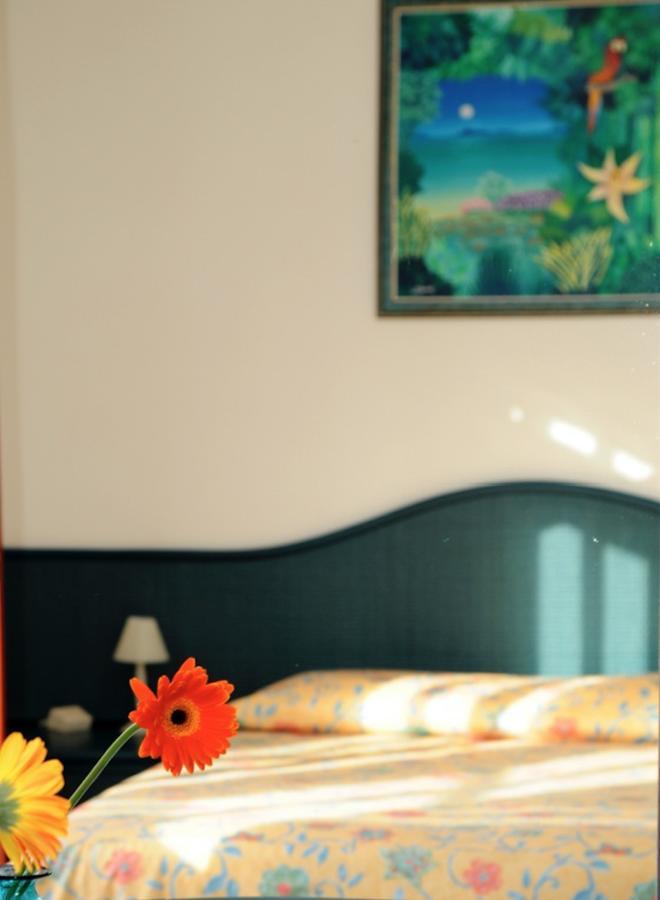 Standard Double Room,536180394:JPEG